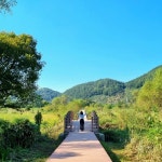 김해시 화포천습지생태공원 참여형 프로그램 운영 - KNS뉴스통신 김해시 화포천습지생태공원 참여형 프로그램 운영