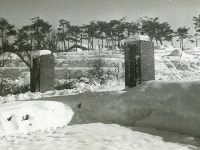 (새창)초창기 경북대학교 정문 이미지 확대보기