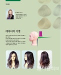 에어터치 기법 - 대한미용사회중앙회 에어터치 기법