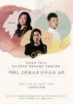 KOPIS 공연예술 통합전산망 혼 트리오 (HORN TRIO) [대구]