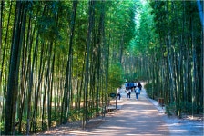 기차여행은 코레일관광개발