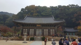 기차여행은 코레일관광개발