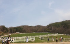 기차여행은 코레일관광개발