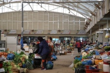 코레일관광개발 기차여행 No.1 공기업, 코레일관광개발