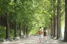 기차여행은 코레일관광개발