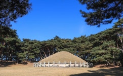 기차여행은 코레일관광개발