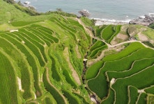 기차여행은 코레일관광개발