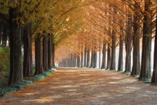 기차여행은 코레일관광개발