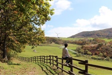 기차여행은 코레일관광개발