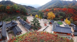 기차여행은 코레일관광개발