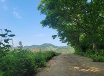 기차여행은 코레일관광개발