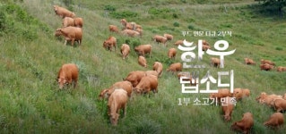 기차여행은 코레일관광개발