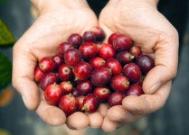 기차여행은 코레일관광개발