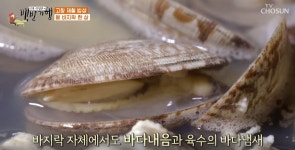 기차여행은 코레일관광개발