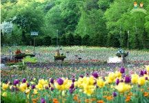 기차여행은 코레일관광개발