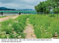 Weekly 공감 낙동강 상류 천혜의 절경 자전거 타며 즐긴다