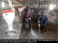 Weekly 공감 아픔 딛고 청정 · 선진 축산 만들자