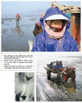Weekly 공감 <제56호>서해안 갯벌