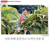 Weekly 공감 연천 DMZ 로하스 유기농 클러스터