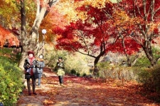한양도성 백악마루 길