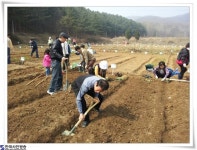 서울시,희망서울 친환경 주말농장 신청하세요