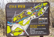 이미지확대보기