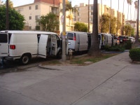 청소전문업체 ( 트럭마운트카펫크리닝전문. 이사,공사전후 대청소 .러그픽업& 딜리버리써비스 )   ::: 미주 중앙일보 - The... 