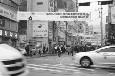 [총학생회] 안암상가임대차분쟁 참살이길-개운사길 플랑전