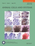 Animal cells and systems | Korea Science