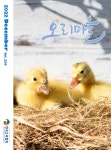 Monthly Ducks Village (오리마을) | Korea Science