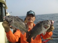(西)서해조황 - 13일격포갈매기6짜5짜등좋아요