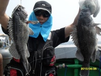 (西)서해조황 - 25일격포갈매기1호왕대박!!!