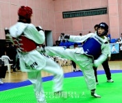 제103회 전국체육대회 전남 대표 선발1차전 개최 - 한국생활체육뉴스 제103회 전국체육대회 전남 대표 선발1차전 개최