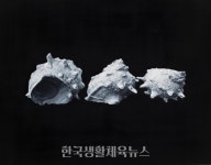 2023 로비展-평택시문화재단 소장품 전시 - 한국생활체육뉴스 2023 로비展-평택시문화재단 소장품 전시