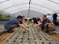  평택시, 예비 귀농·귀촌인 하반기 교육 추진