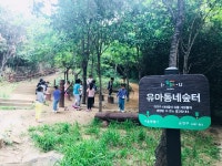금천구, 자연에서 놀며 배우는 ‘유아동네숲터’ 조성
