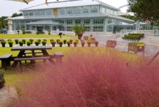  경주 동궁원, 가을 정취 느끼며 마술쇼까지 함께!