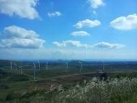  어음 풍력 발전 비리 용인 재판결과 제주도는 즉각 항소하라