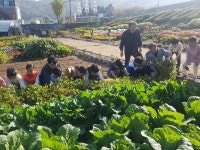 지역사회와 함께하는 광명초등학교, 밤일시민주말농장에 방문한 다문화특별학급 학생들