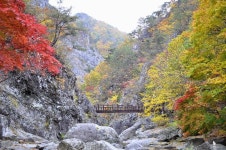  청송주왕산국립공원, 가을철 산불방지 일부 탐방로 통제
