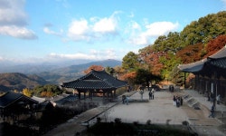  영주 문화재는 우리가 지킨다!