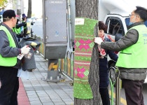 경인투데이뉴스 수원 효원로에서‘가로수 패션쇼’ 감상하세요