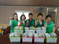  아산시 온양4동 새마을협의회, 영농철 7개 마을 1일 며느리