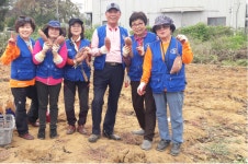 경인투데이뉴스   (사)바다살리기국민운동본부 안산시지부 사랑의 고구마 수확하여 나눔행사 가져