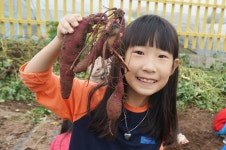 경인투데이뉴스 경주교육지원청, 기쁨을 나누는 행복한 수확