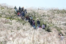 경인투데이뉴스 제주 관광 11월 10선 발표