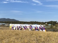 경인투데이뉴스 예산군 광시면 황새마을, 제2회 추수행사 개최