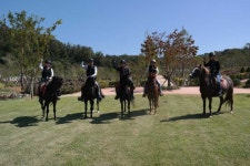 경인투데이뉴스 승마와 함께 힐링하며 건강도 챙기세요. 영광승마장, 다양한 승마체험 프로그램 운영  