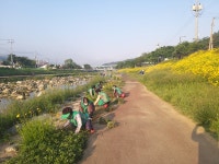 경인투데이뉴스 양평군 옥천면, 기관단체 제초작업 실시