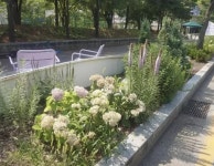 경인투데이뉴스 : 일반뉴스 > 사회 > 1581 페이지